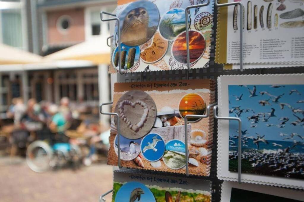 Gastenverblijf Janssen In Schagen Eksteriør bilde